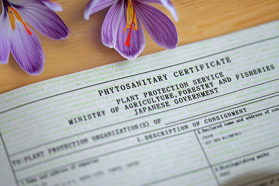 What is a phytosanitary certificate?