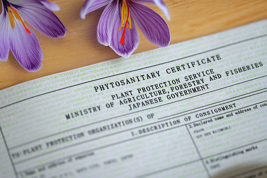 What is a phytosanitary certificate?