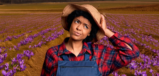 All saffron questions you were afraid to ask